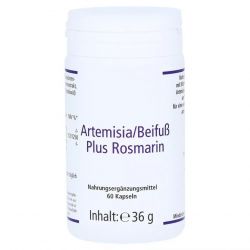 Артемизинин 150 мг капс. 60шт в Набережных челнах и области фото